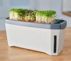 GUSTA GARDEN Hydrosysteme|Blumentöpfe & Übertöpfe - Kräutertopf Harry Herbs mit Anzuchthaube, ca. B36/H25/T15 cm Hellgrau