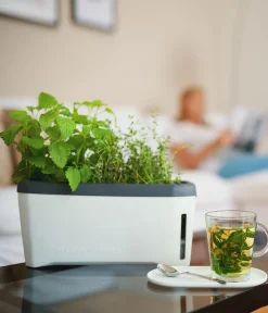 GUSTA GARDEN Hydrosysteme|Blumentöpfe & Übertöpfe - Kräutertopf Harry Herbs, ca. B36/H16/T15 cm Weiß