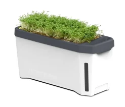 GUSTA GARDEN Hydrosysteme|Blumentöpfe & Übertöpfe - Kräutertopf Harry Herbs, ca. B36/H16/T15 cm Weiß