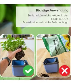 GUSTA GARDEN Hydrosysteme|Blumentöpfe & Übertöpfe > Kräutertopf Herbs Buddy, ca. B16/H14/T14 cm, 3er-Set