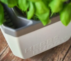 GUSTA GARDEN Hydrosysteme|Blumentöpfe & Übertöpfe > Kräutertopf Herbs Buddy, ca. B16/H14/T14 cm, 3er-Set