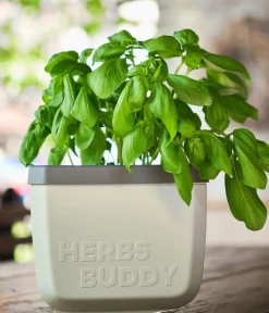 GUSTA GARDEN Hydrosysteme|Blumentöpfe & Übertöpfe > Kräutertopf Herbs Buddy, ca. B16/H14/T14 cm, 3er-Set