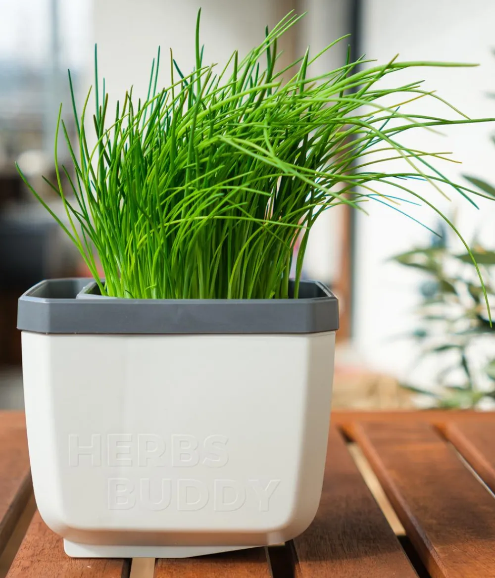 GUSTA GARDEN Hydrosysteme|Blumentöpfe & Übertöpfe > Kräutertopf Herbs Buddy, ca. B16/H14/T14 cm, 3er-Set