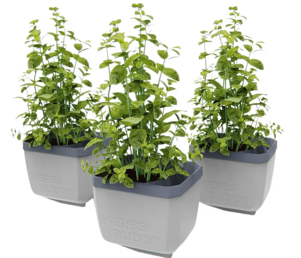 GUSTA GARDEN Hydrosysteme|Blumentöpfe & Übertöpfe > Kräutertopf Herbs Buddy, ca. B16/H14/T14 cm, 3er-Set