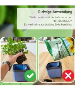 GUSTA GARDEN Hydrosysteme|Blumentöpfe & Übertöpfe > Kräutertopf Herbs Buddy, ca. B16/H14/T14 cm