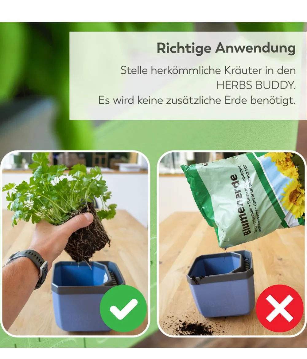 GUSTA GARDEN Hydrosysteme|Blumentöpfe & Übertöpfe > Kräutertopf Herbs Buddy, ca. B16/H14/T14 cm