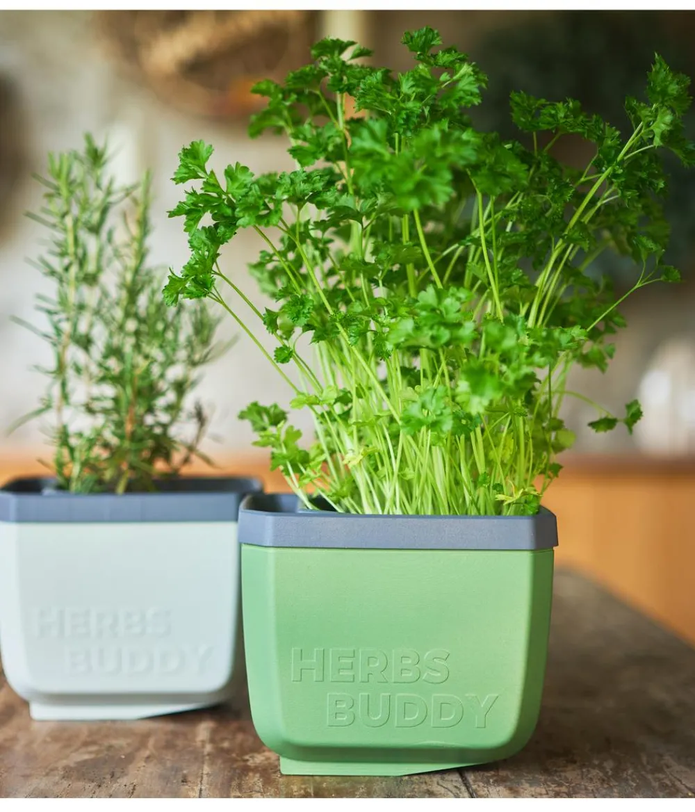 GUSTA GARDEN Hydrosysteme|Blumentöpfe & Übertöpfe > Kräutertopf Herbs Buddy, ca. B16/H14/T14 cm