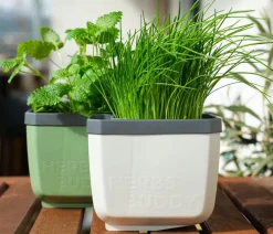 GUSTA GARDEN Hydrosysteme|Blumentöpfe & Übertöpfe > Kräutertopf Herbs Buddy, ca. B16/H14/T14 cm