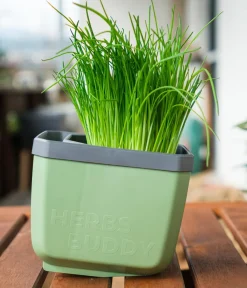 GUSTA GARDEN Hydrosysteme|Blumentöpfe & Übertöpfe > Kräutertopf Herbs Buddy, ca. B16/H14/T14 cm