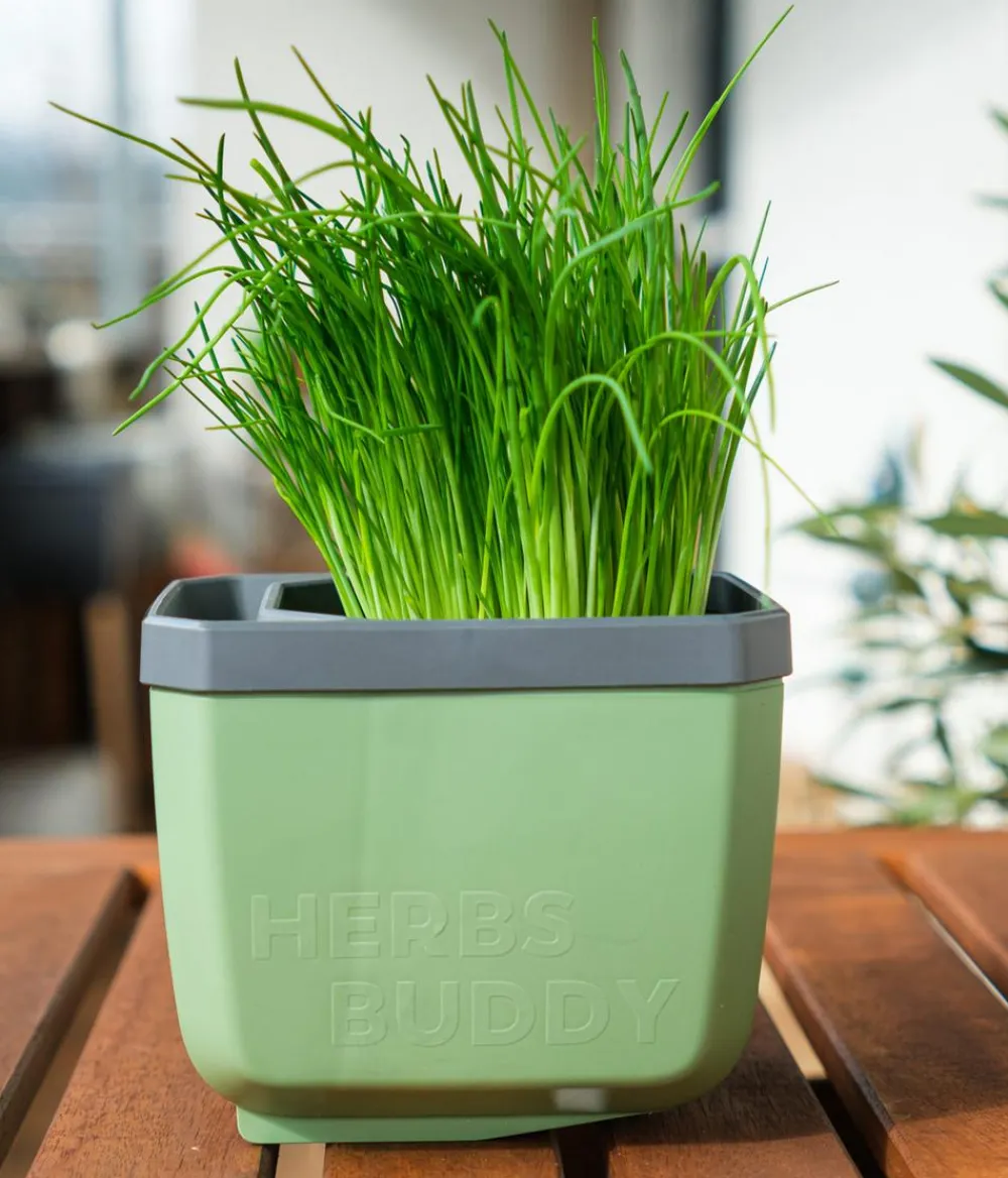 GUSTA GARDEN Hydrosysteme|Blumentöpfe & Übertöpfe > Kräutertopf Herbs Buddy, ca. B16/H14/T14 cm