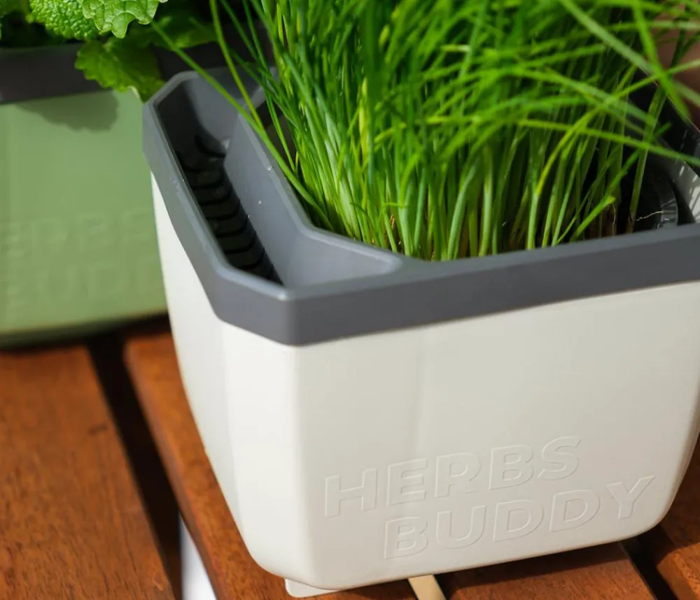 GUSTA GARDEN Hydrosysteme|Blumentöpfe & Übertöpfe > Kräutertopf Herbs Buddy, ca. B16/H14/T14 cm