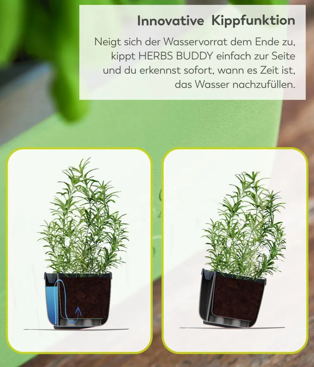 GUSTA GARDEN Kräutertopf Herbs Buddy, ca. B16/H14/T14 cm, 3er-Set Weiß Hot