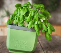 GUSTA GARDEN Kräutertopf Herbs Buddy, ca. B16/H14/T14 cm, 3er-Set Dunkelgrün Outlet