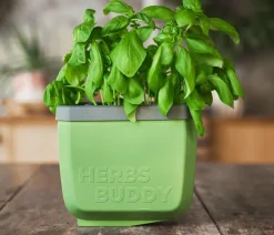GUSTA GARDEN Kräutertopf Herbs Buddy, ca. B16/H14/T14 cm, 3er-Set Dunkelgrün Outlet