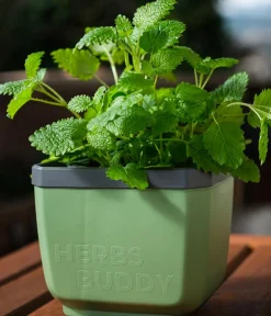 GUSTA GARDEN Kräutertopf Herbs Buddy, ca. B16/H14/T14 cm, 3er-Set Dunkelgrün Outlet
