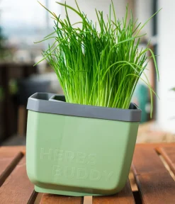 GUSTA GARDEN Kräutertopf Herbs Buddy, ca. B16/H14/T14 cm, 3er-Set Dunkelgrün Outlet