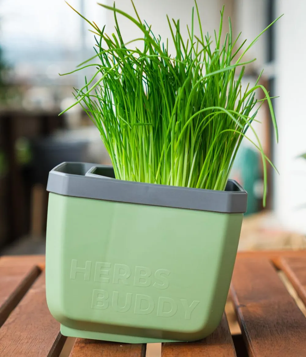GUSTA GARDEN Kräutertopf Herbs Buddy, ca. B16/H14/T14 cm, 3er-Set Dunkelgrün Outlet
