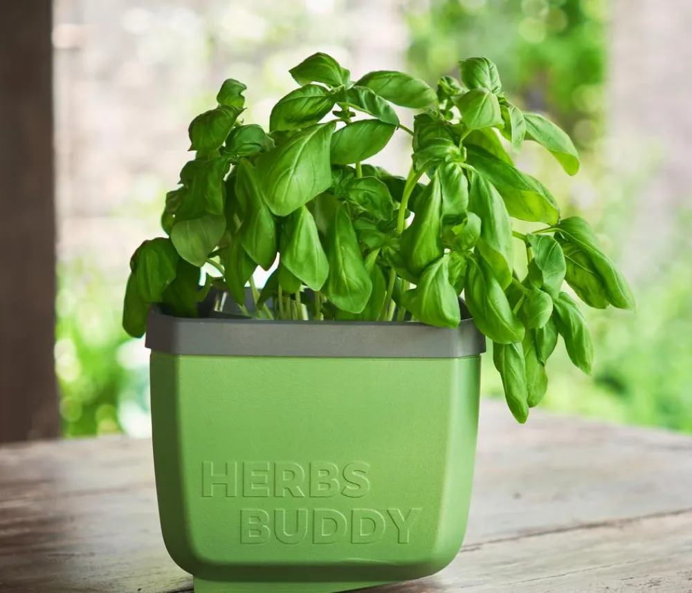 GUSTA GARDEN Kräutertopf Herbs Buddy, ca. B16/H14/T14 cm, 3er-Set Dunkelgrün Outlet