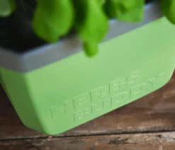 GUSTA GARDEN Kräutertopf Herbs Buddy, ca. B16/H14/T14 cm, 3er-Set Dunkelgrün Outlet