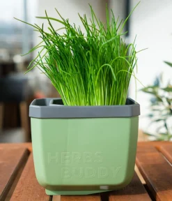 GUSTA GARDEN Kräutertopf Herbs Buddy, ca. B16/H14/T14 cm, 3er-Set Dunkelgrün Outlet