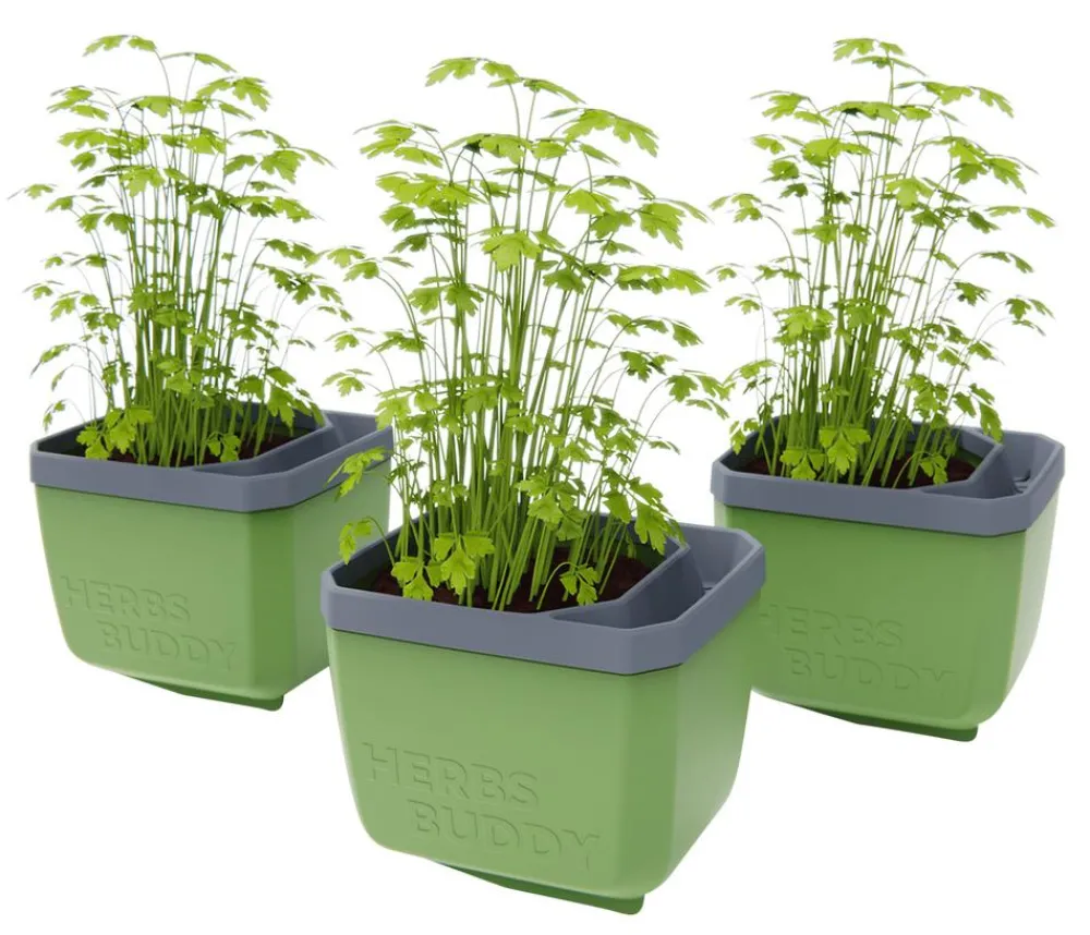 GUSTA GARDEN Kräutertopf Herbs Buddy, ca. B16/H14/T14 cm, 3er-Set Dunkelgrün Outlet