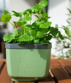 GUSTA GARDEN Kräutertopf Herbs Buddy, ca. B16/H14/T14 cm, 3er-Set Dunkelgrün Outlet