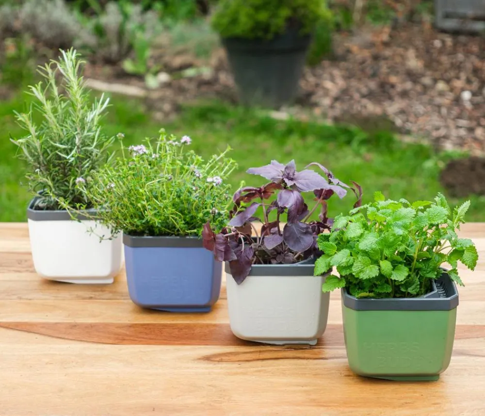 GUSTA GARDEN Kräutertopf Herbs Buddy, ca. B16/H14/T14 cm Weiß