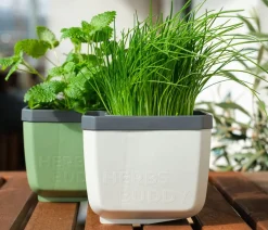 GUSTA GARDEN Kräutertopf Herbs Buddy, ca. B16/H14/T14 cm Weiß