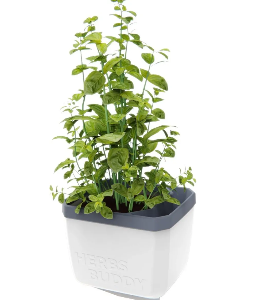 GUSTA GARDEN Kräutertopf Herbs Buddy, ca. B16/H14/T14 cm Weiß