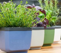 GUSTA GARDEN Kräutertopf Herbs Buddy, ca. B16/H14/T14 cm Weiß