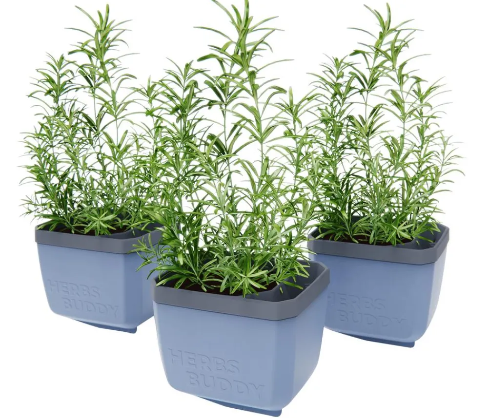 GUSTA GARDEN Hydrosysteme|Blumentöpfe & Übertöpfe - Kräutertopf Herbs Buddy, ca. B16/H14/T14 cm, 3er-Set Blau