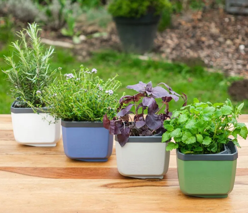 GUSTA GARDEN Hydrosysteme|Blumentöpfe & Übertöpfe - Kräutertopf Herbs Buddy, ca. B16/H14/T14 cm Hellgrau