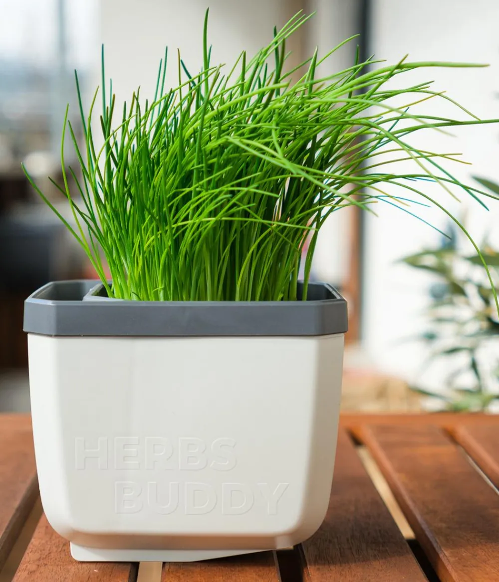 GUSTA GARDEN Hydrosysteme|Blumentöpfe & Übertöpfe - Kräutertopf Herbs Buddy, ca. B16/H14/T14 cm Hellgrau