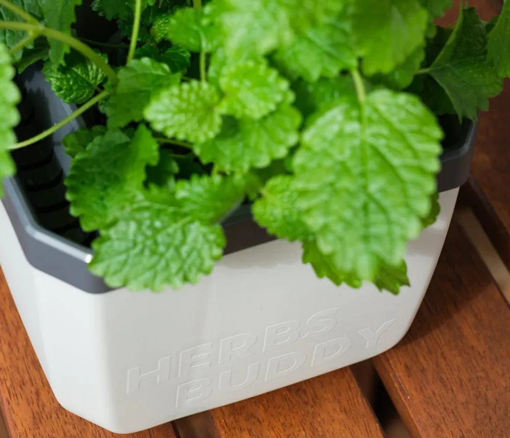 GUSTA GARDEN Hydrosysteme|Blumentöpfe & Übertöpfe - Kräutertopf Herbs Buddy, ca. B16/H14/T14 cm Hellgrau