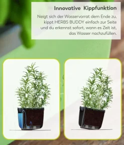GUSTA GARDEN Hydrosysteme|Blumentöpfe & Übertöpfe - Kräutertopf Herbs Buddy, ca. B16/H14/T14 cm Hellgrau