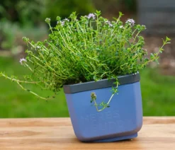 GUSTA GARDEN Hydrosysteme|Blumentöpfe & Übertöpfe - Kräutertopf Herbs Buddy, ca. B16/H14/T14 cm Blau