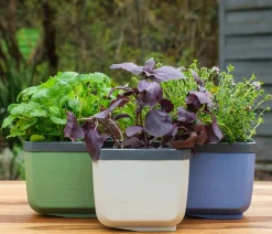 GUSTA GARDEN Blumentöpfe & Übertöpfe|Hochbeete & Frühbeete - Kräutertöpfe Herbs Buddy, ca. B19/H14,3/T13,6 cm, 3er-Set