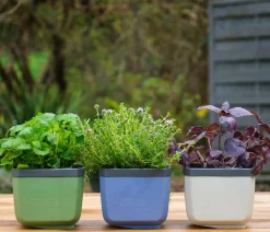 GUSTA GARDEN Blumentöpfe & Übertöpfe|Hochbeete & Frühbeete - Kräutertöpfe Herbs Buddy, ca. B19/H14,3/T13,6 cm, 3er-Set