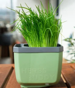 GUSTA GARDEN Blumentöpfe & Übertöpfe|Hochbeete & Frühbeete - Kräutertöpfe Herbs Buddy, ca. B19/H14,3/T13,6 cm, 3er-Set