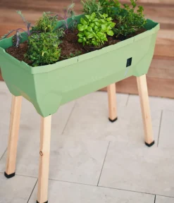 GUSTA GARDEN Hochbeete & Frühbeete - Mini-Hochbeet Sammy Salad, inkl. Haube, ca. B79/H95/T38 cm Dunkelgrün