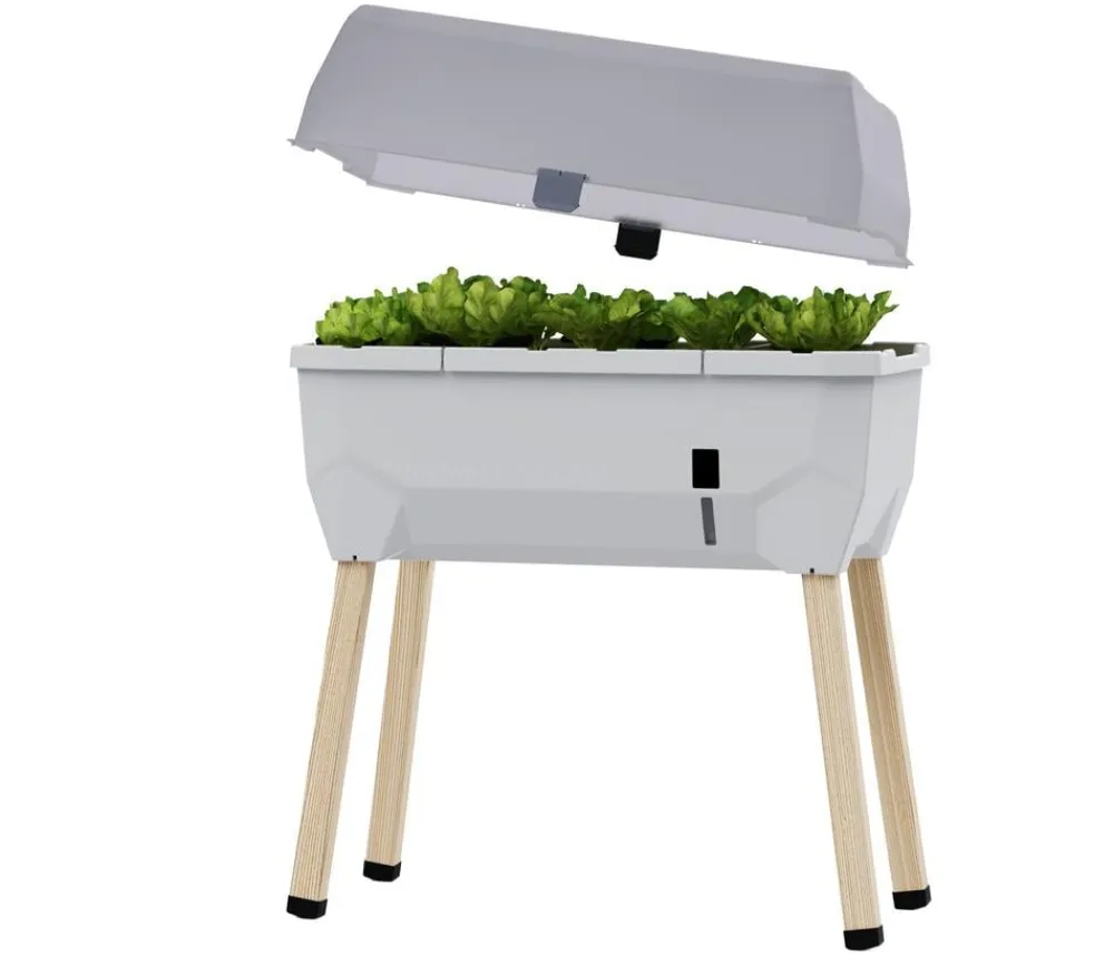 GUSTA GARDEN Hochbeete & Frühbeete - Mini-Hochbeet Sammy Salad, inkl. Haube, ca. B79/H95/T38 cm Hellgrau
