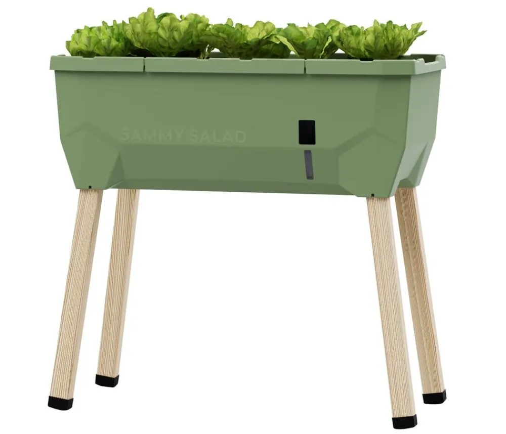 GUSTA GARDEN Mini-Hochbeet Sammy Salad, ca. B79/H75/T37,5 cm Dunkelgrün Discount