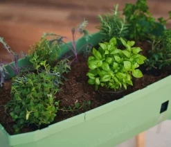 GUSTA GARDEN Mini-Hochbeet Sammy Salad, ca. B79/H75/T37,5 cm Dunkelgrün Discount