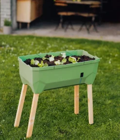 GUSTA GARDEN Mini-Hochbeet Sammy Salad, ca. B79/H75/T37,5 cm Dunkelgrün Discount