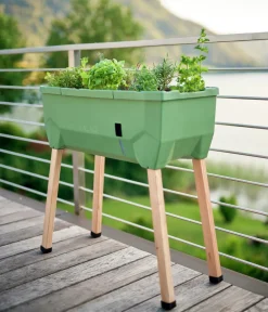 GUSTA GARDEN Mini-Hochbeet Sammy Salad, ca. B79/H75/T37,5 cm Dunkelgrün Discount