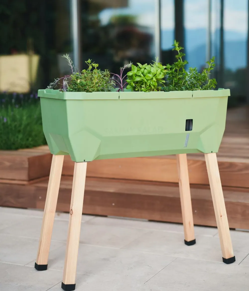 GUSTA GARDEN Mini-Hochbeet Sammy Salad, ca. B79/H75/T37,5 cm Dunkelgrün Discount