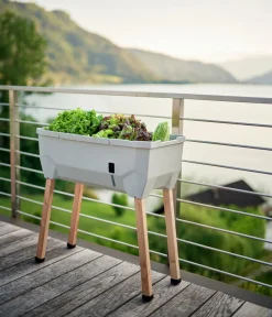 GUSTA GARDEN Hochbeete & Frühbeete - Mini-Hochbeet Sammy Salad, ca. B79/H75/T37,5 cm Hellgrau