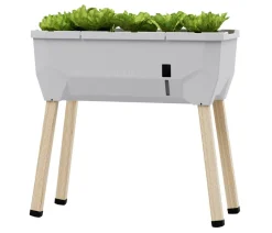GUSTA GARDEN Hochbeete & Frühbeete - Mini-Hochbeet Sammy Salad, ca. B79/H75/T37,5 cm Hellgrau