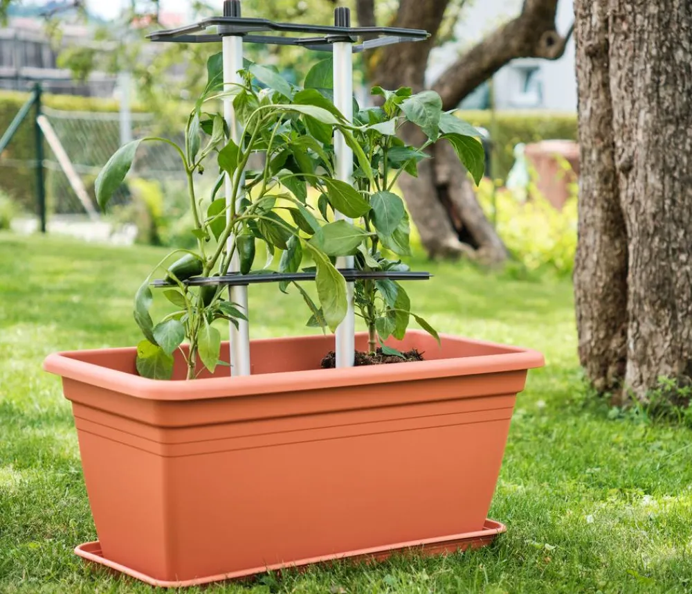 GUSTA GARDEN Rankgitter & Obelisken - Rankhilfe Chili Buddy, ca. B34/H64/T19 cm, 3er-Set