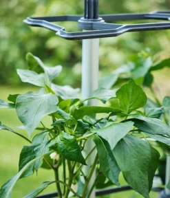 GUSTA GARDEN Rankgitter & Obelisken - Rankhilfe Chili Buddy, ca. B34/H64/T19 cm, 3er-Set